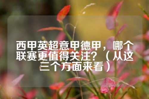 的比赛面貌